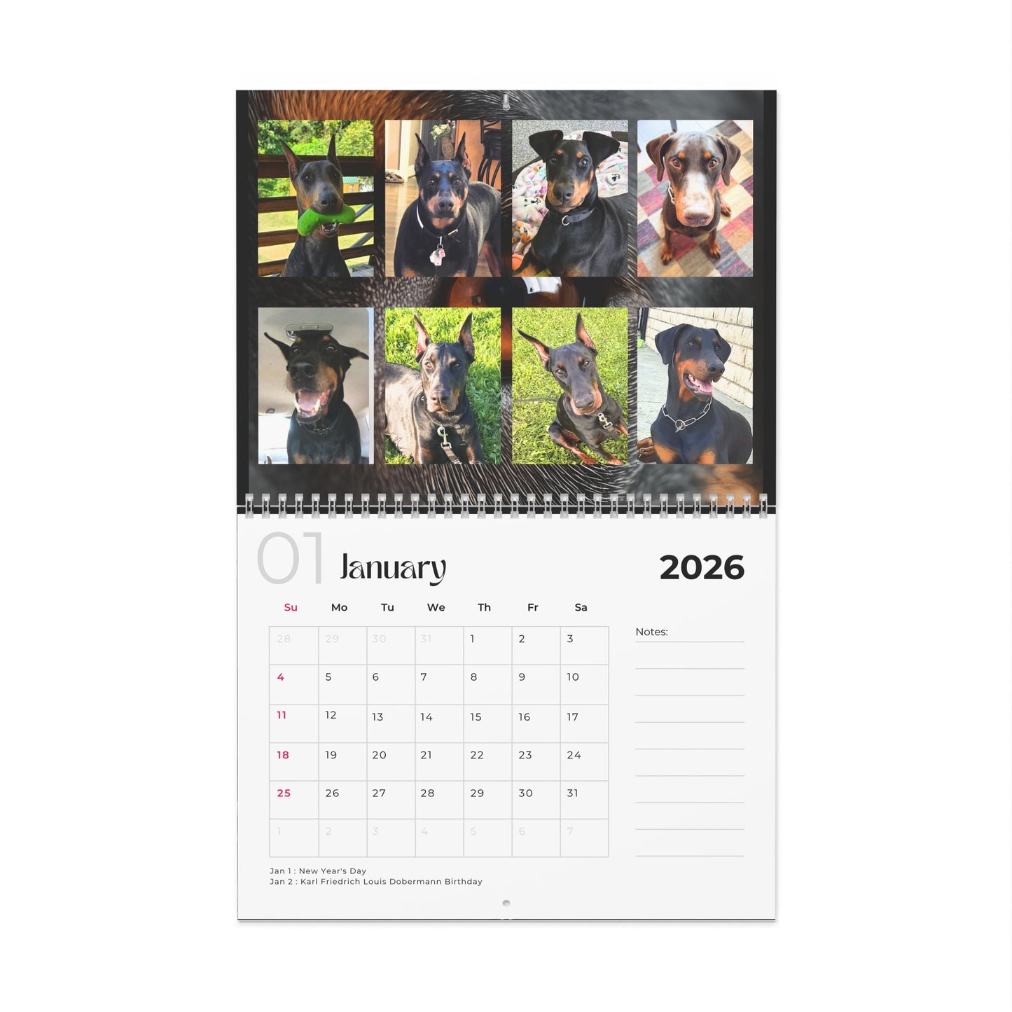 Edition 3 2026 Doberman Calendars