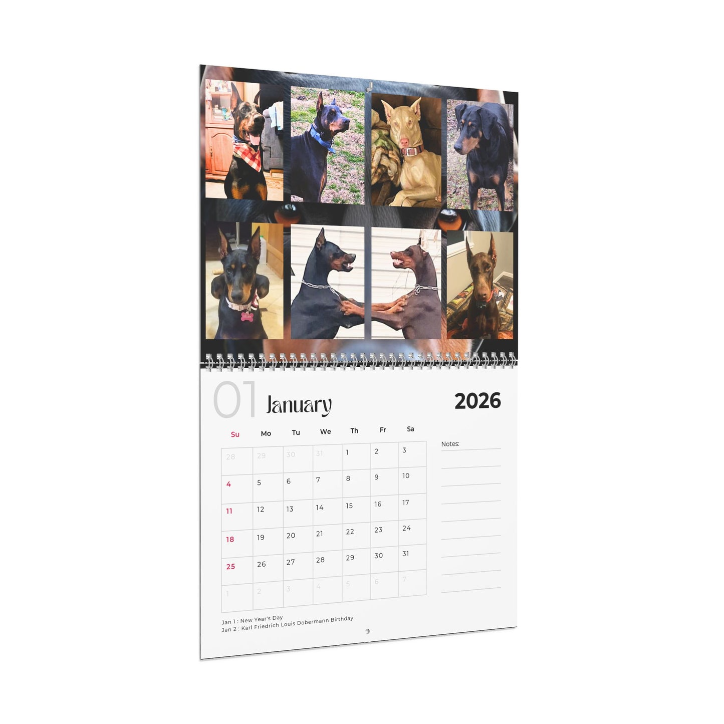 Edition 1 2026 Doberman Calendars