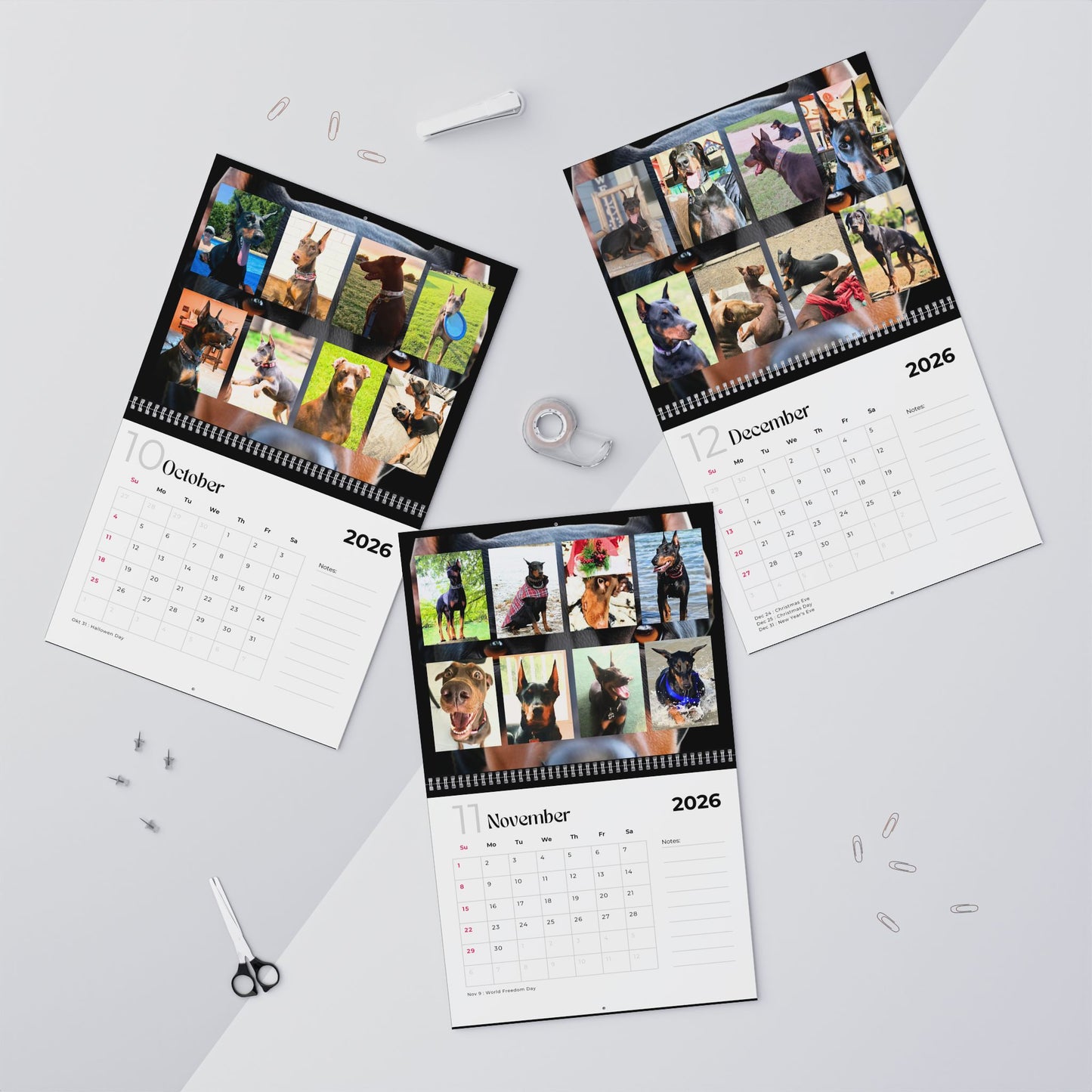Edition 2 2026 Doberman Calendars