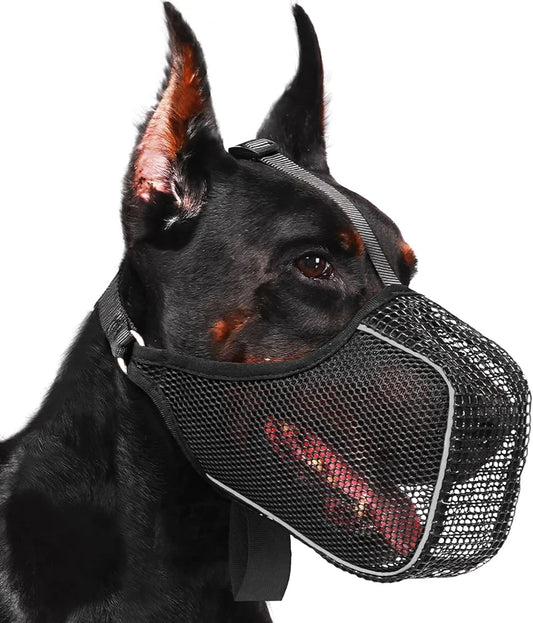 Doberman Muzzle Combo