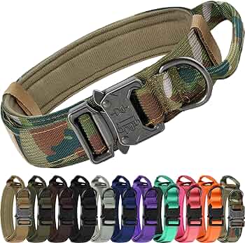 Tactical Collar with Handle & Audio Training Guide Combo