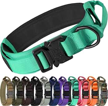 Tactical Collar with Handle & Audio Training Guide Combo