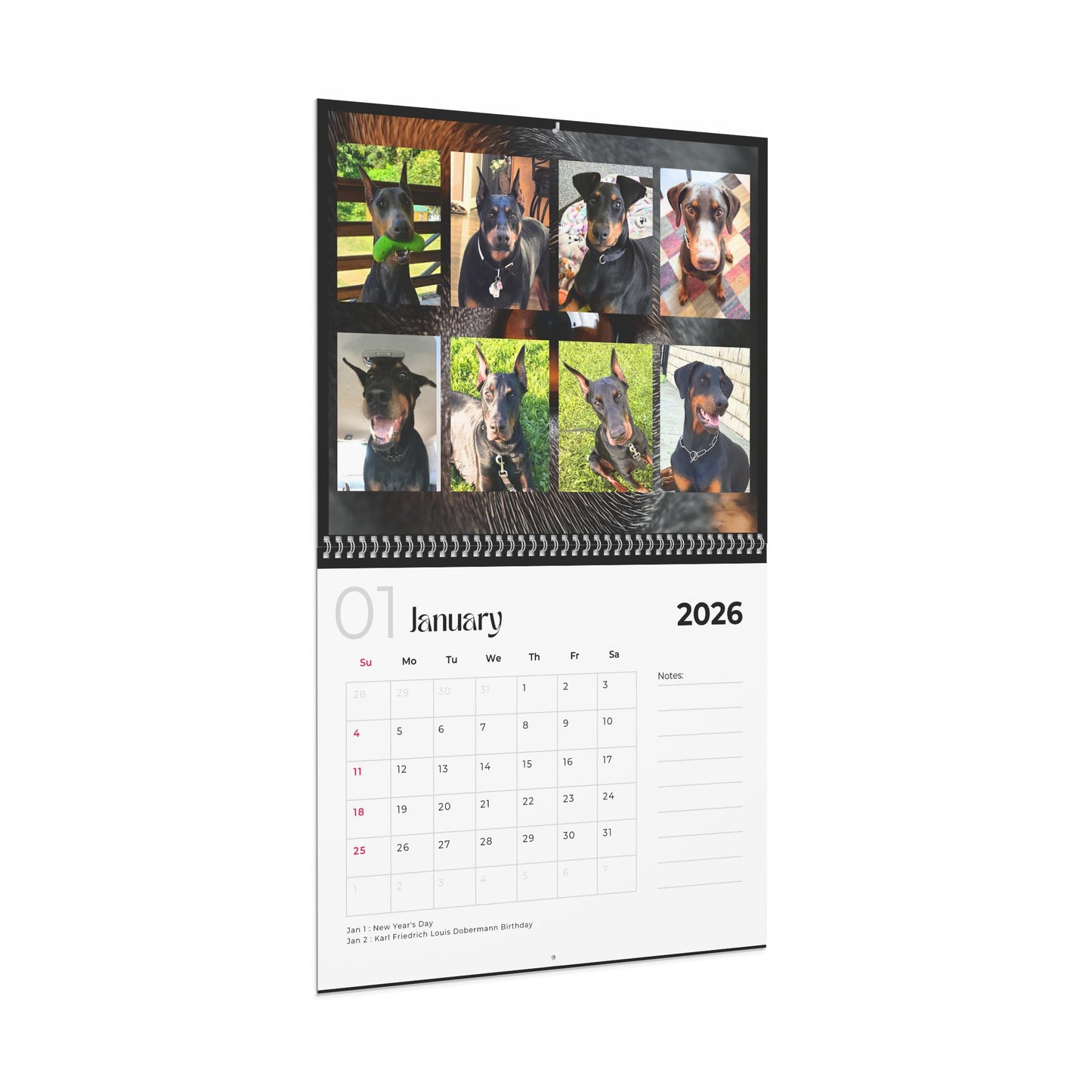 Edition 3 2026 Doberman Calendars