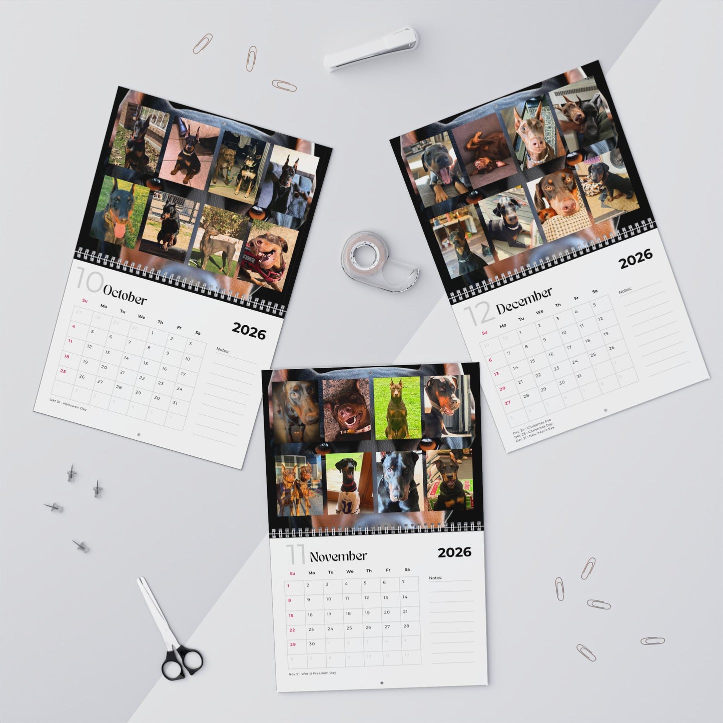 Edition 1 2026 Doberman Calendars