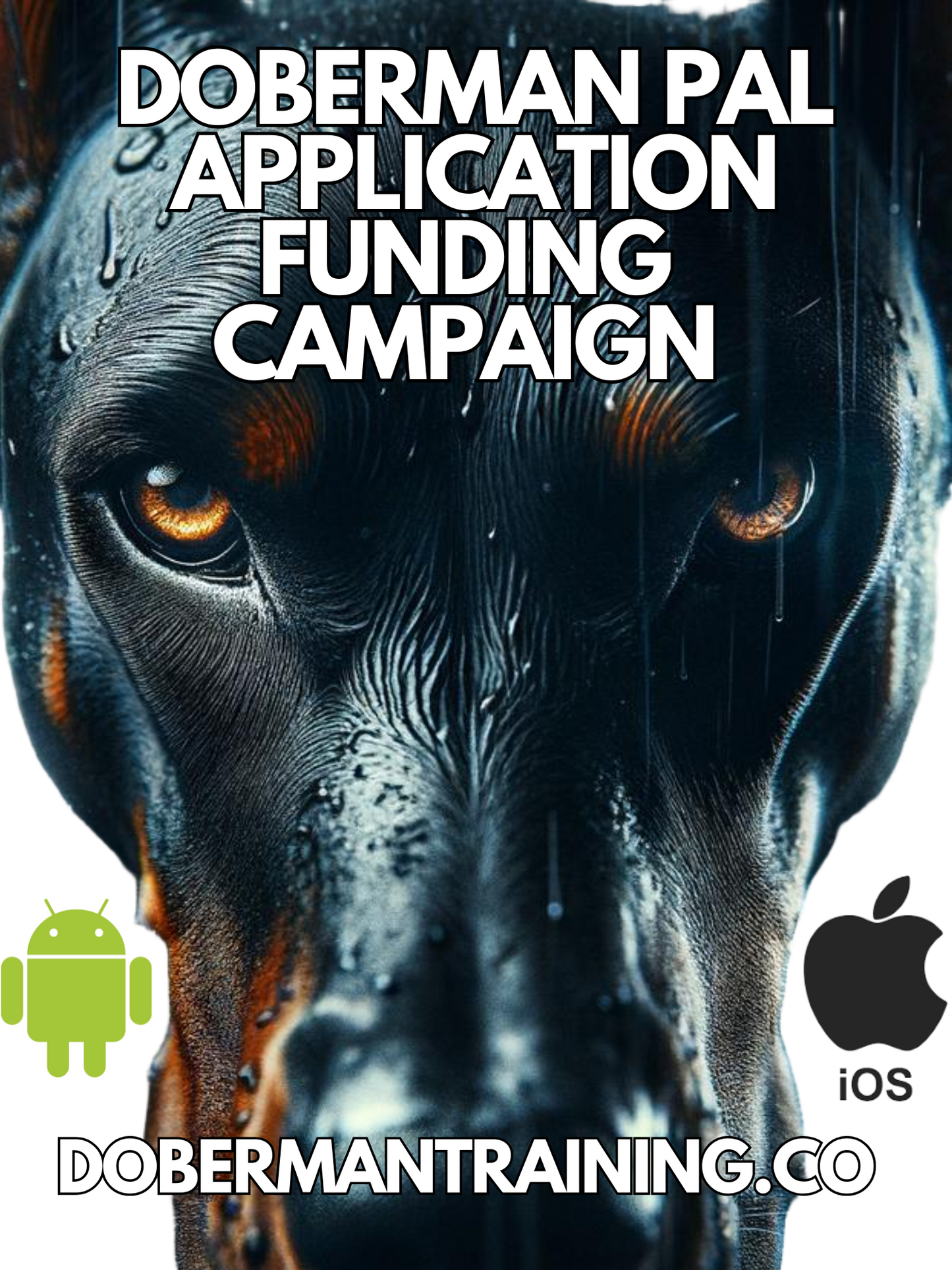 Doberman App Funding Camping Contribution
