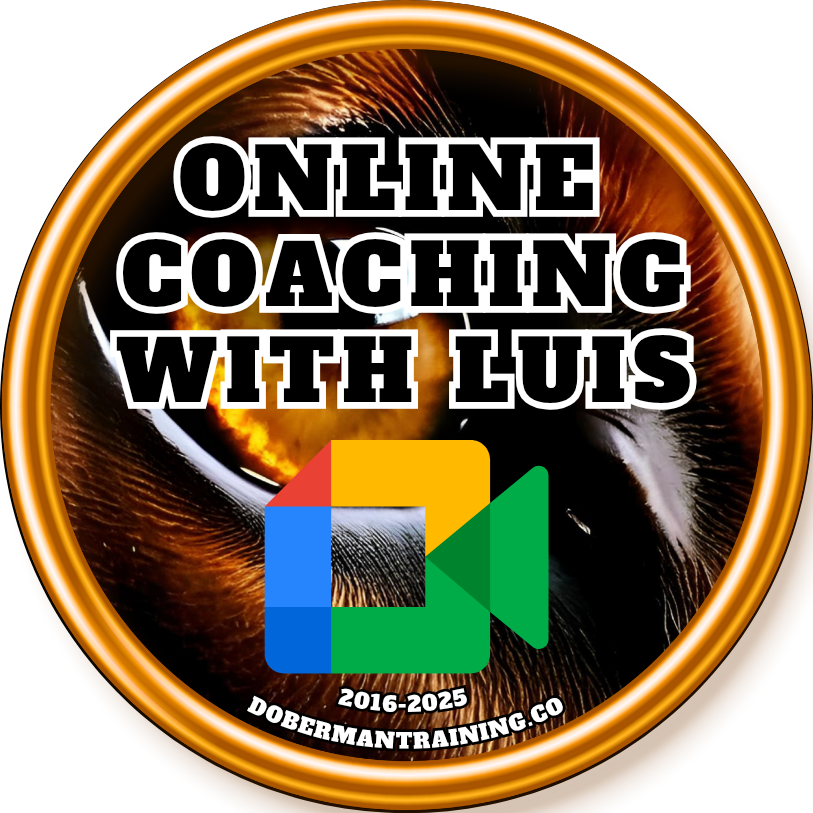 Google Meet Classes, Extended Online Coaching and more.