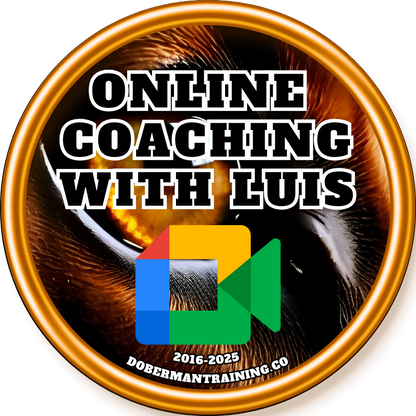 Google Meet Classes, Extended Online Coaching and more.