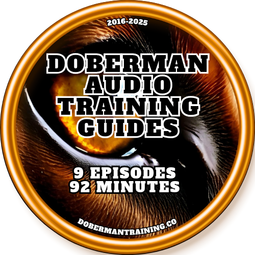 2025 Doberman Audio Training Guides 5.0