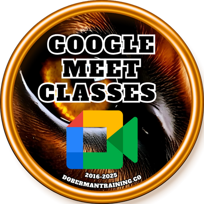 Google Meet Classes, Extended Online Coaching and more.