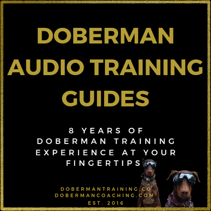 Doberman Audio Training Guides