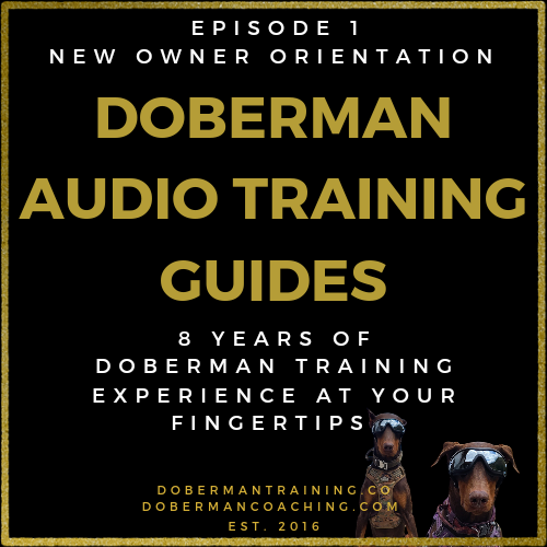 Doberman Audio Training Guides