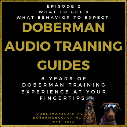 Doberman Audio Training Guides