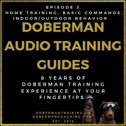 Doberman Audio Training Guides