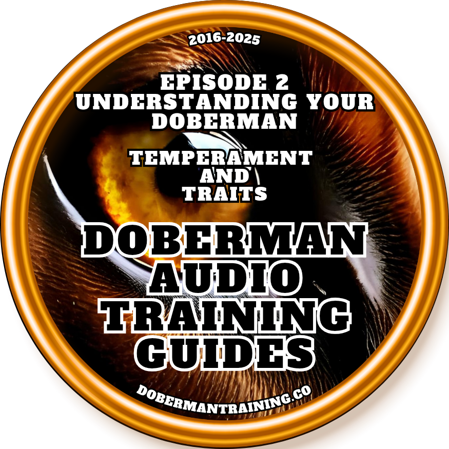 2025 Doberman Audio Training Guides 5.0