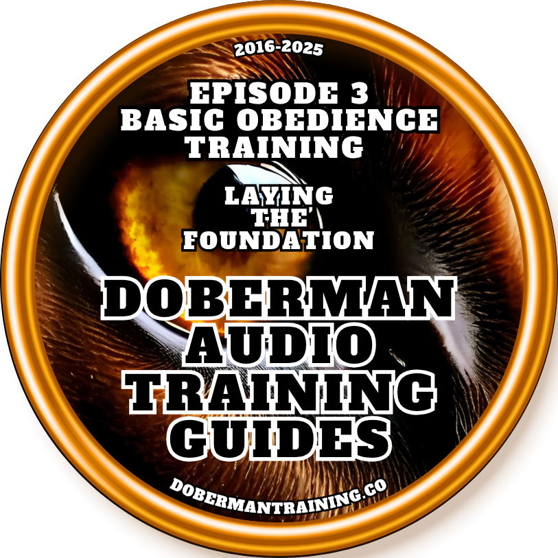 2025 Doberman Audio Training Guides 5.0