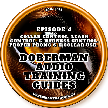 2025 Doberman Audio Training Guides 5.0