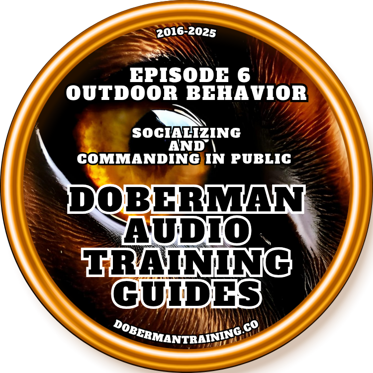 2025 Doberman Audio Training Guides 5.0