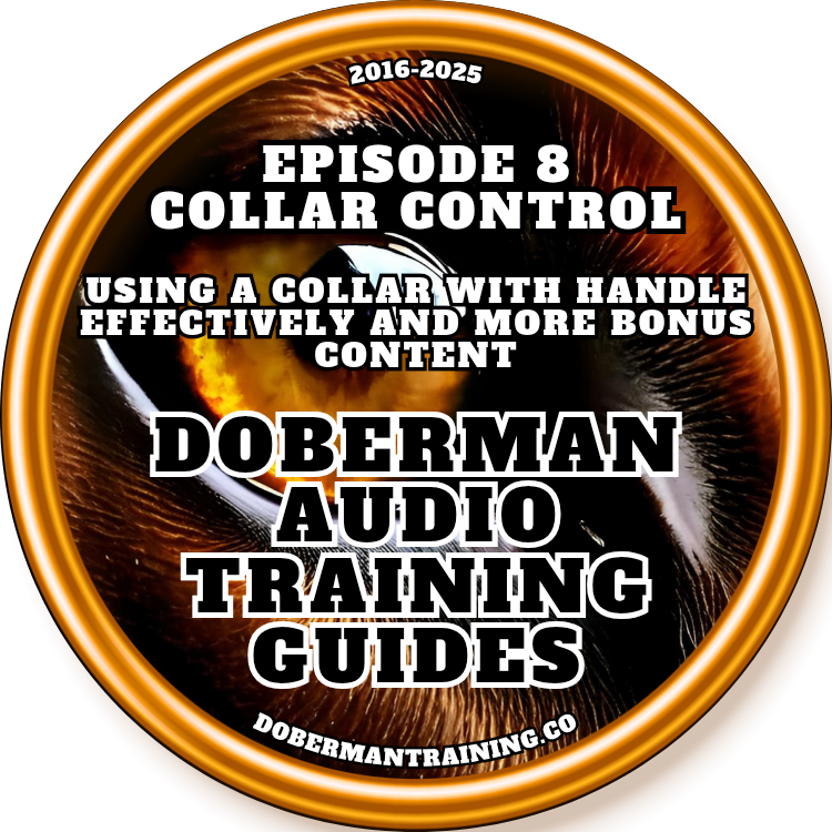 2025 Doberman Audio Training Guides 5.0