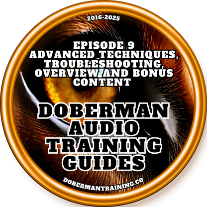 2025 Doberman Audio Training Guides 5.0