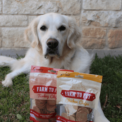 Turkey & Chicken Chip Dog Treat Duo | Single-Ingredient Poultry Treats for Dogs