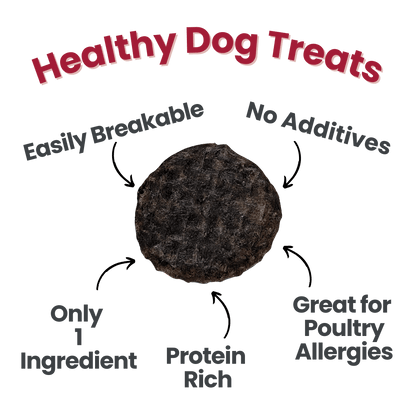 Beef Chips Snack Pack Bundles | Dog Treats for Training & Travel