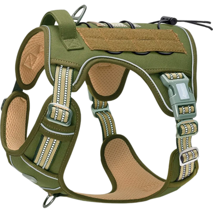 Tactical No-Pull Harness & Audio Training Guide Combo