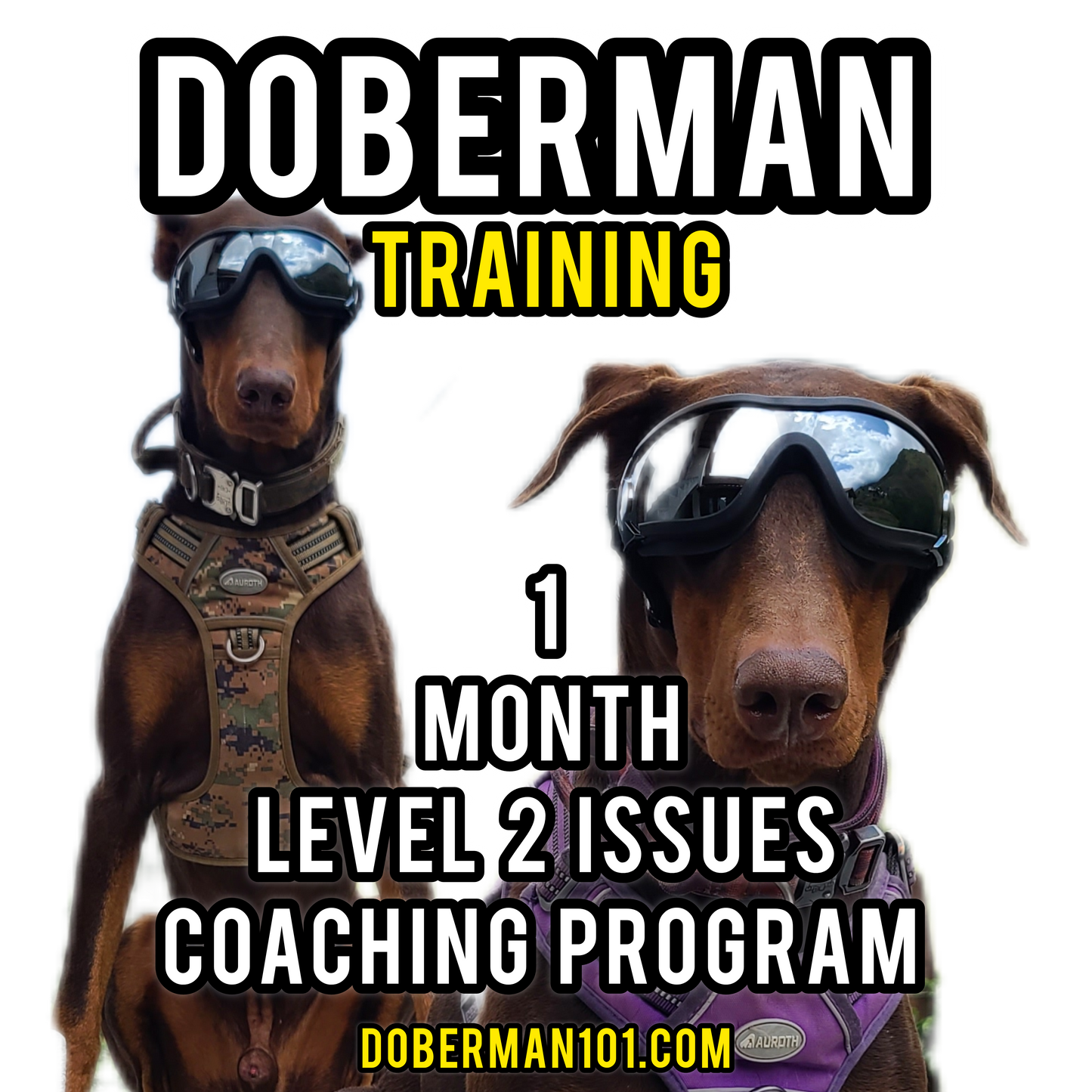 1 Month Level 2 Issues Coaching Program