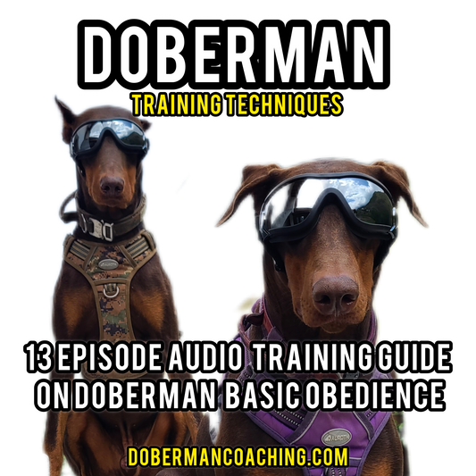 13 Episode Audio Training Guide on Doberman Basic Obedience