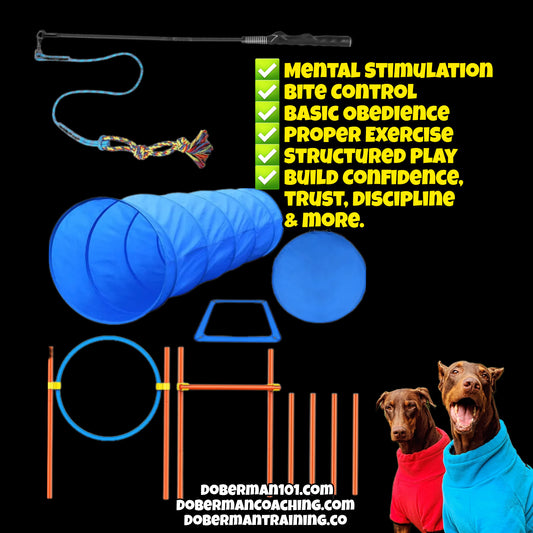 Doberman Training Combo 2