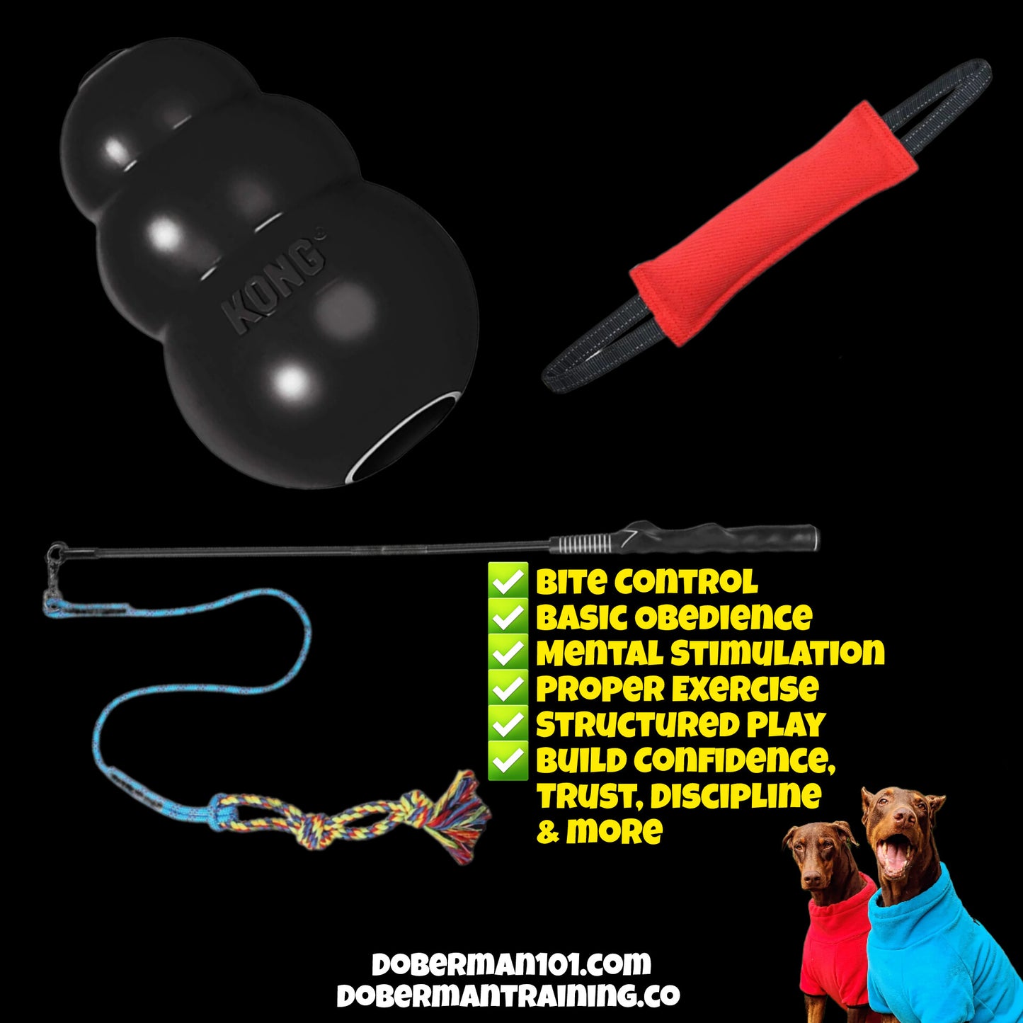 Doberman Training Combo 1