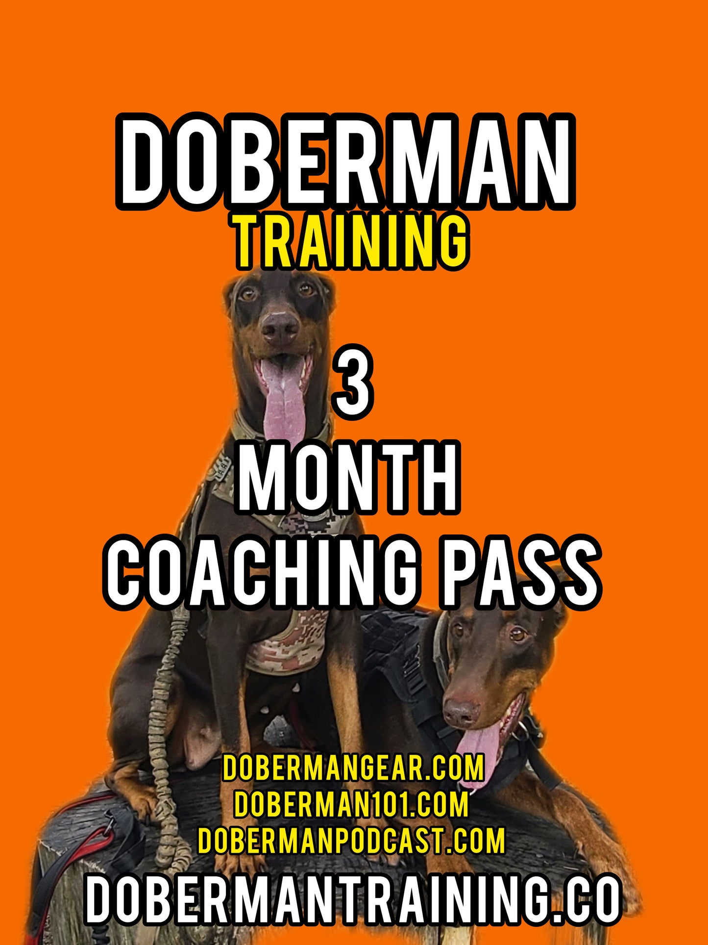 3 Month Coaching Pass