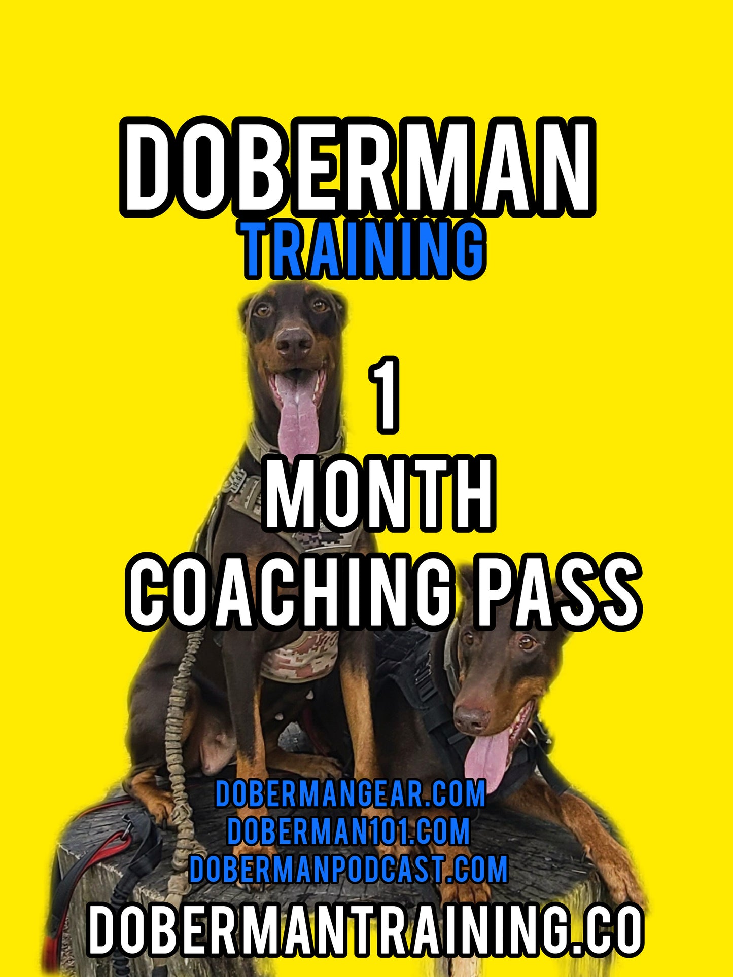 1 Month Fast Track Coaching Pass