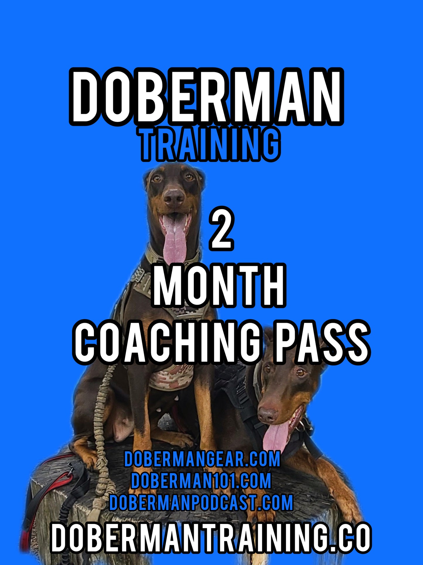 2 Month Fast Track Coaching Pass