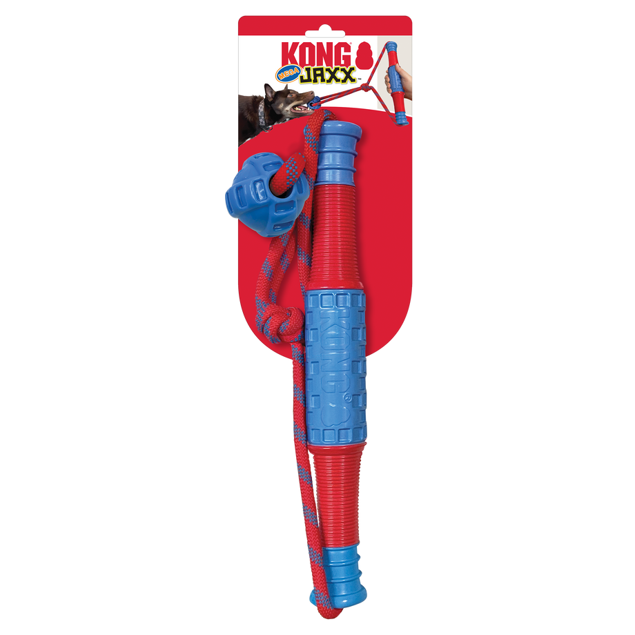 KONG