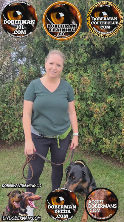 Albuquerque, New Mexico 11/9-11/11 Doberman Training Tour: In-Person Training & Online Coaching Program