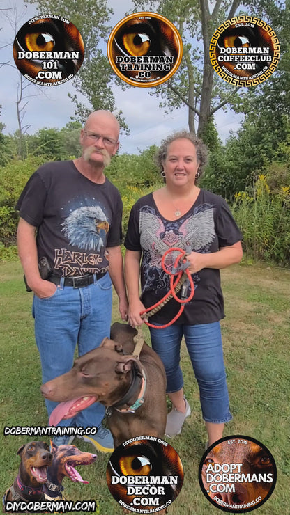 Albuquerque, New Mexico 11/9-11/11 Doberman Training Tour: In-Person Training & Online Coaching Program