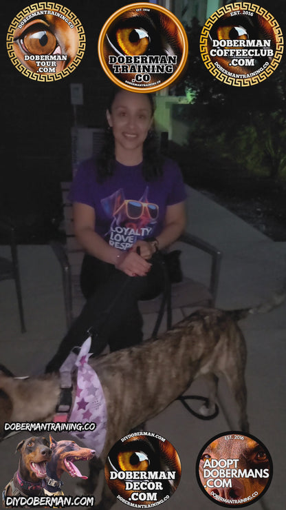 Albuquerque, New Mexico 11/9-11/11 Doberman Training Tour: In-Person Training & Online Coaching Program