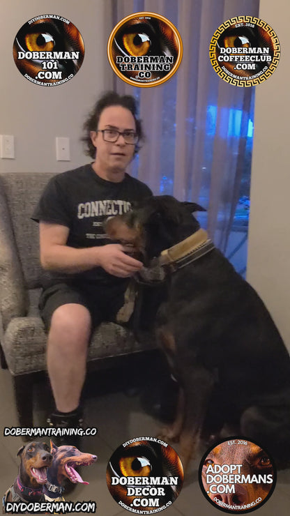 Albuquerque, New Mexico 11/9-11/11 Doberman Training Tour: In-Person Training & Online Coaching Program