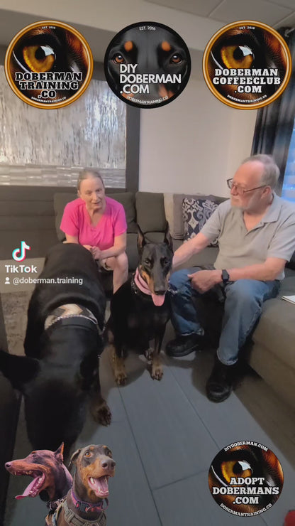 Albuquerque, New Mexico 11/9-11/11 Doberman Training Tour: In-Person Training & Online Coaching Program