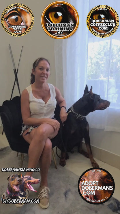 Albuquerque, New Mexico 11/9-11/11 Doberman Training Tour: In-Person Training & Online Coaching Program