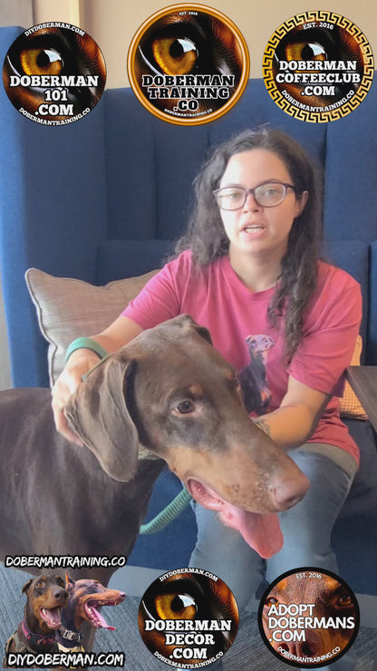 2026 Annual Month Coaching Pass