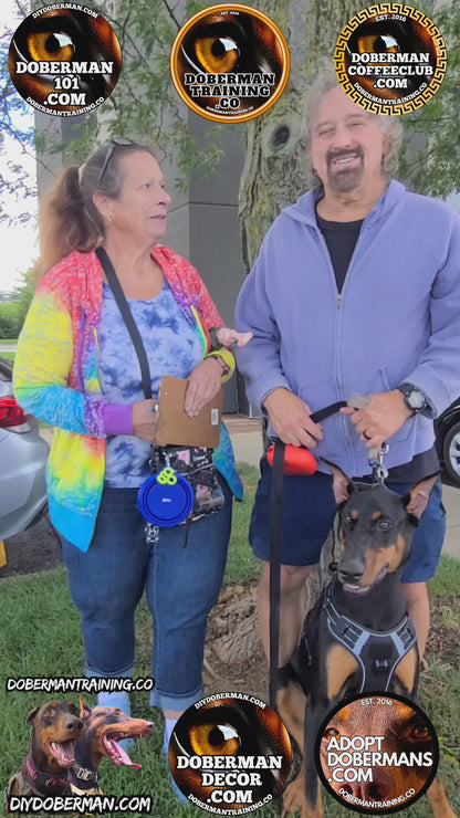 Albuquerque, New Mexico 11/9-11/11 Doberman Training Tour: In-Person Training & Online Coaching Program