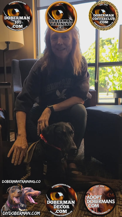 Albuquerque, New Mexico 11/9-11/11 Doberman Training Tour: In-Person Training & Online Coaching Program