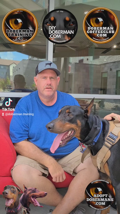 Albuquerque, New Mexico 11/9-11/11 Doberman Training Tour: In-Person Training & Online Coaching Program