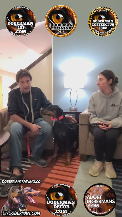 Albuquerque, New Mexico 11/9-11/11 Doberman Training Tour: In-Person Training & Online Coaching Program