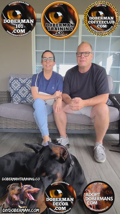 Albuquerque, New Mexico 11/9-11/11 Doberman Training Tour: In-Person Training & Online Coaching Program