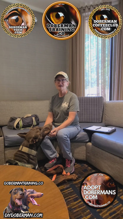 Albuquerque, New Mexico 11/9-11/11 Doberman Training Tour: In-Person Training & Online Coaching Program