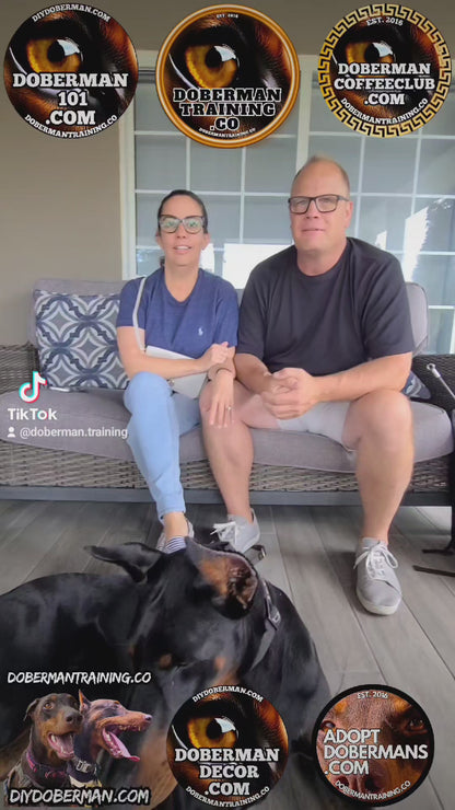Albuquerque, New Mexico 11/9-11/11 Doberman Training Tour: In-Person Training & Online Coaching Program
