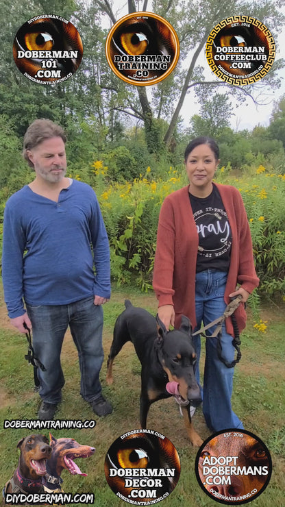 Albuquerque, New Mexico 11/9-11/11 Doberman Training Tour: In-Person Training & Online Coaching Program