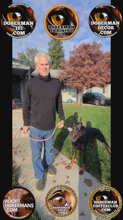 Naples, Florida 3/13-3/16 Doberman Training Tour: In-Person Training & Online Coaching Program